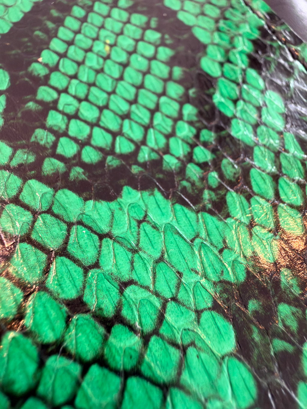 Snake wallet - green