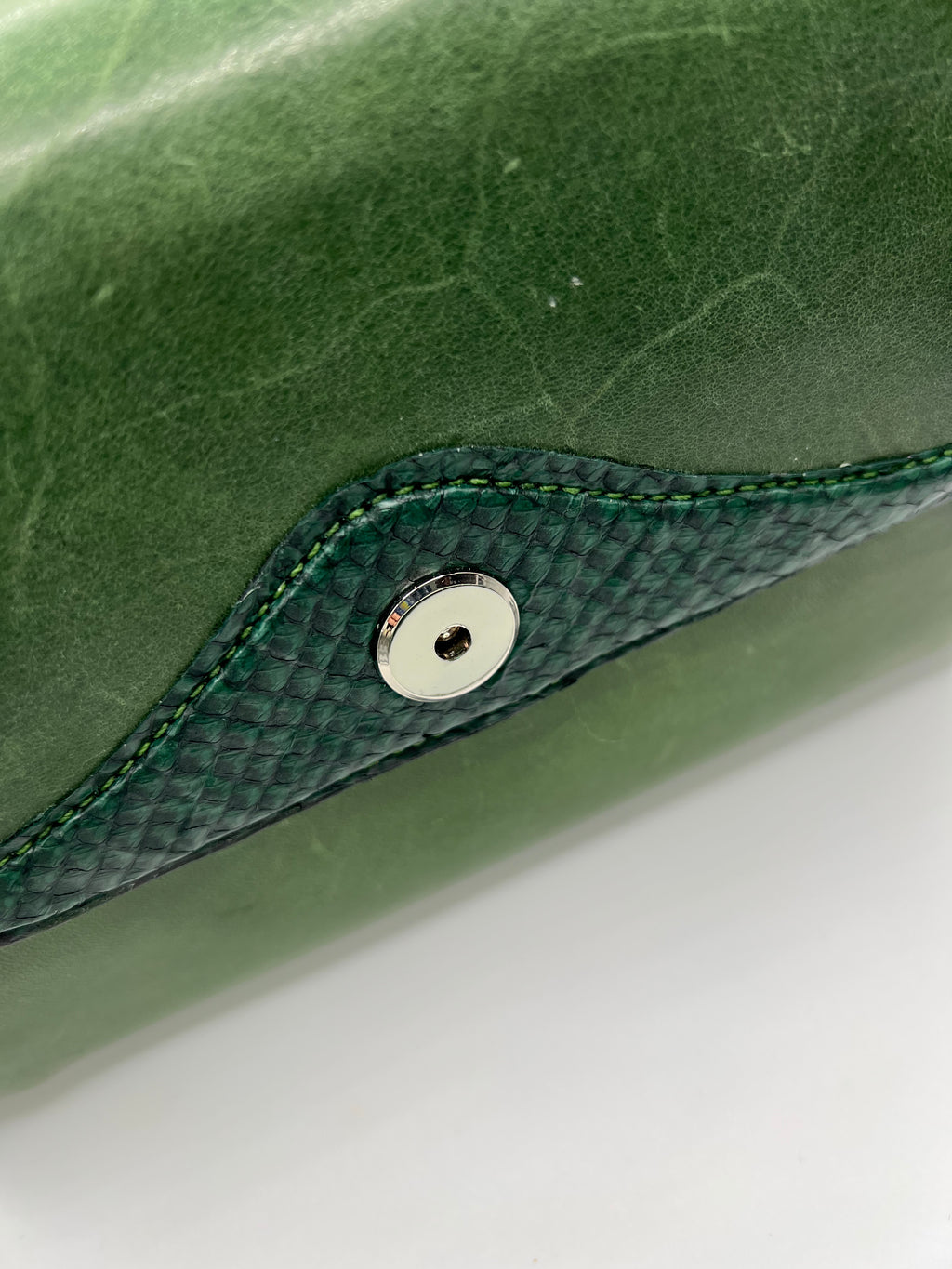 Forest Noir Bag with Salmon Skin